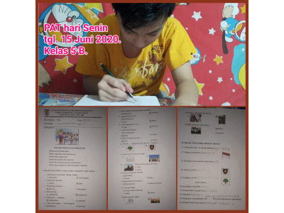 Kelas V sdlb