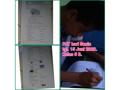 Kelas V sdlb